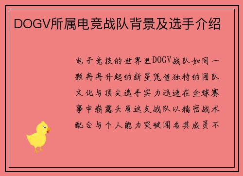 DOGV所属电竞战队背景及选手介绍